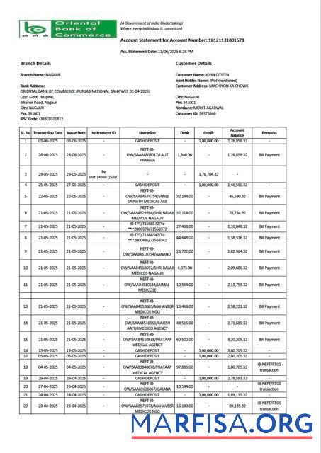 Realistic India Oriental Bank of Commerce account statement word example